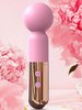 Ladies AV Vibrator Masturbator