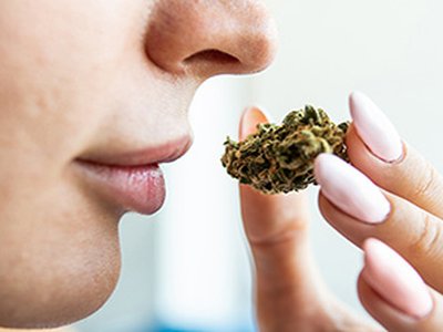 Cannabis Smell