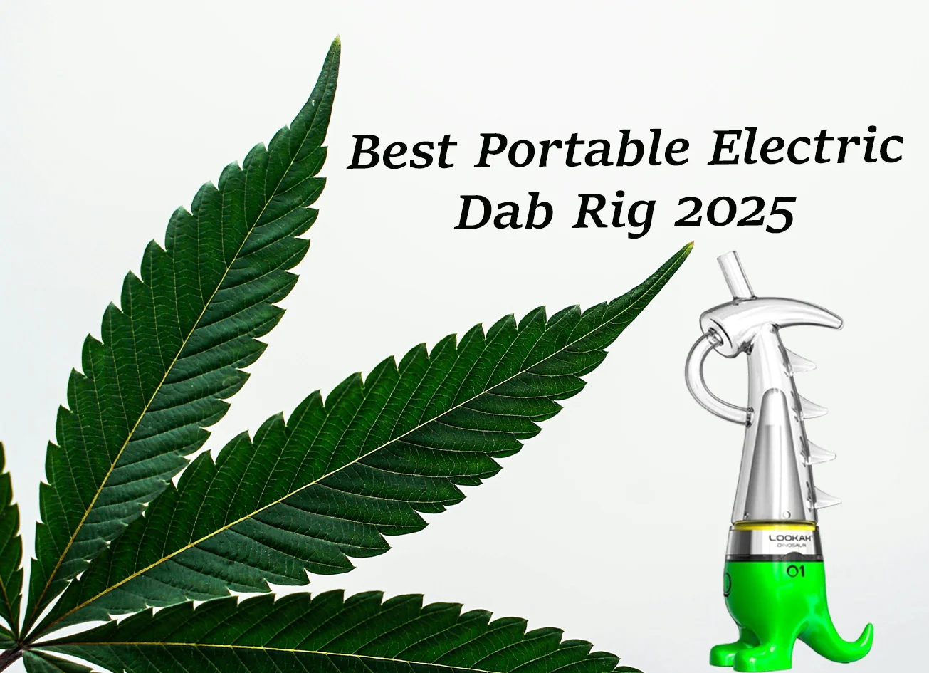 best-portable-electric-dab-rig-2025 best-portable-electric-dab-rig-2025