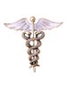 2PCS Caduceus Brooches 2PCS Caduceus Brooches