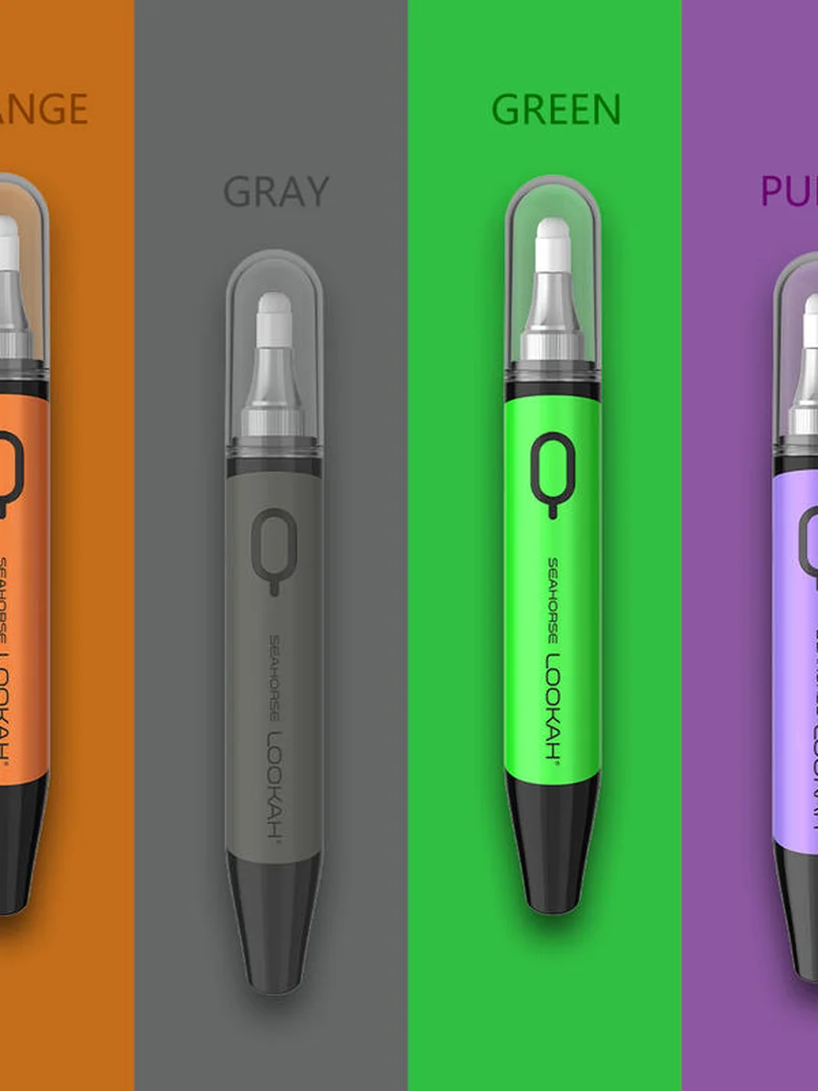 Snail+Seahorse, 2 image