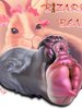 Rabbit Pocket Pussy Penis Masturbation Rabbit Pocket Pussy Penis Masturbation