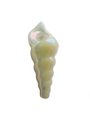 Electroplated Conch Glass Pipe Main