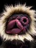 Hyena Animal Vagina Penis Massage Sex Toy Hyena Animal Vagina Penis Massage Sex Toy