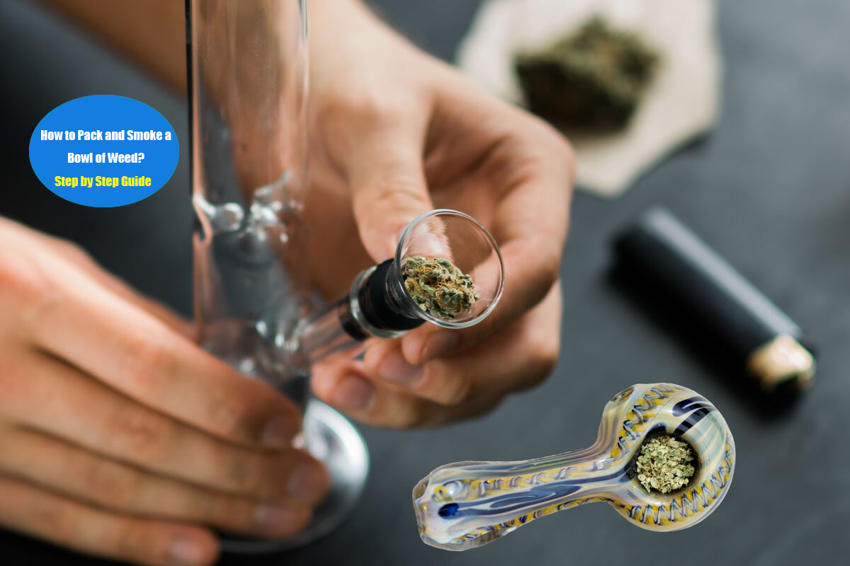 How to Pack and Smoke a Bowl of Weed? Step by Step Guide | Lookah, image size:1200x800