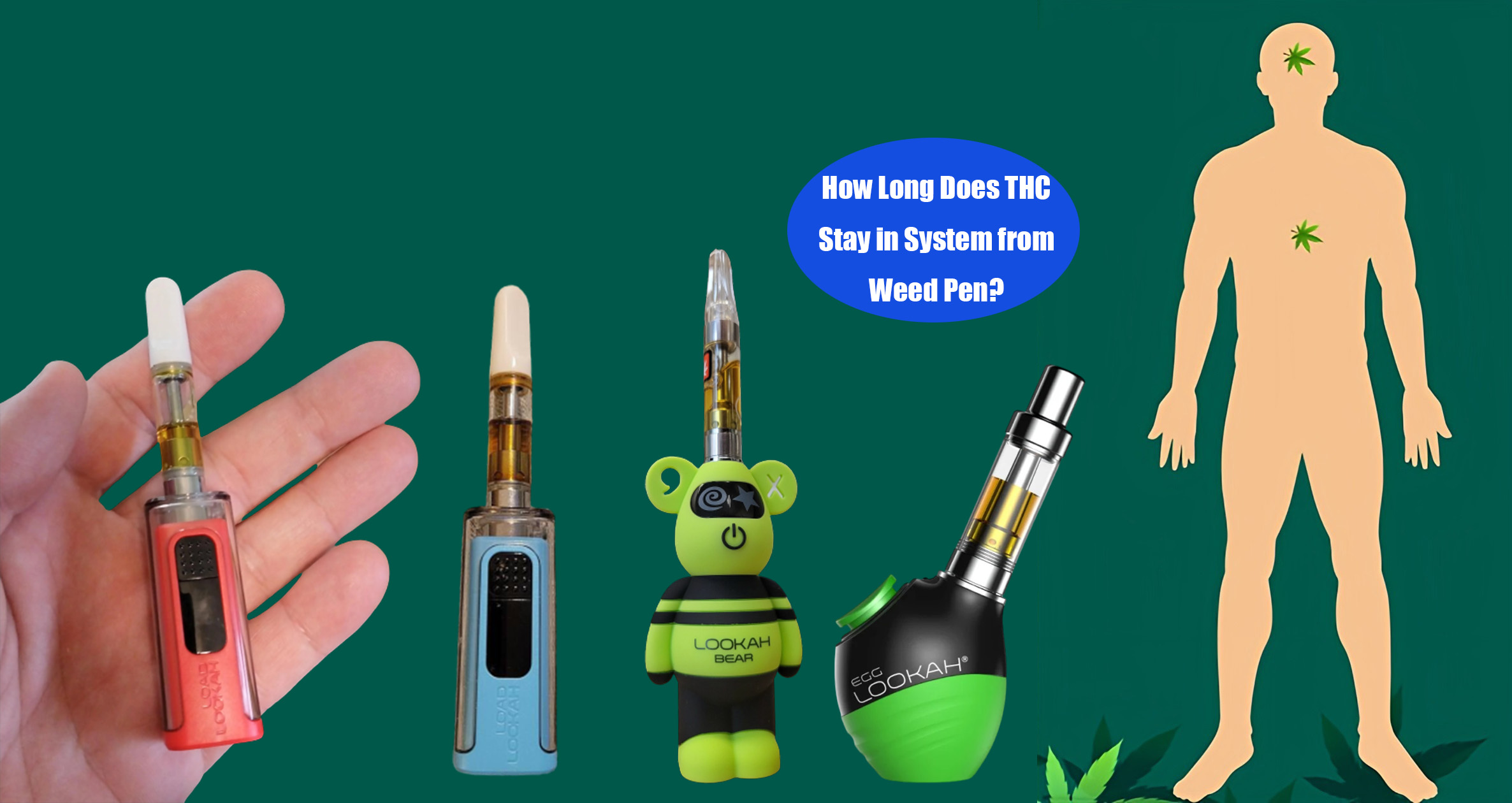 How Long Does A Thc Pen Last In Your System