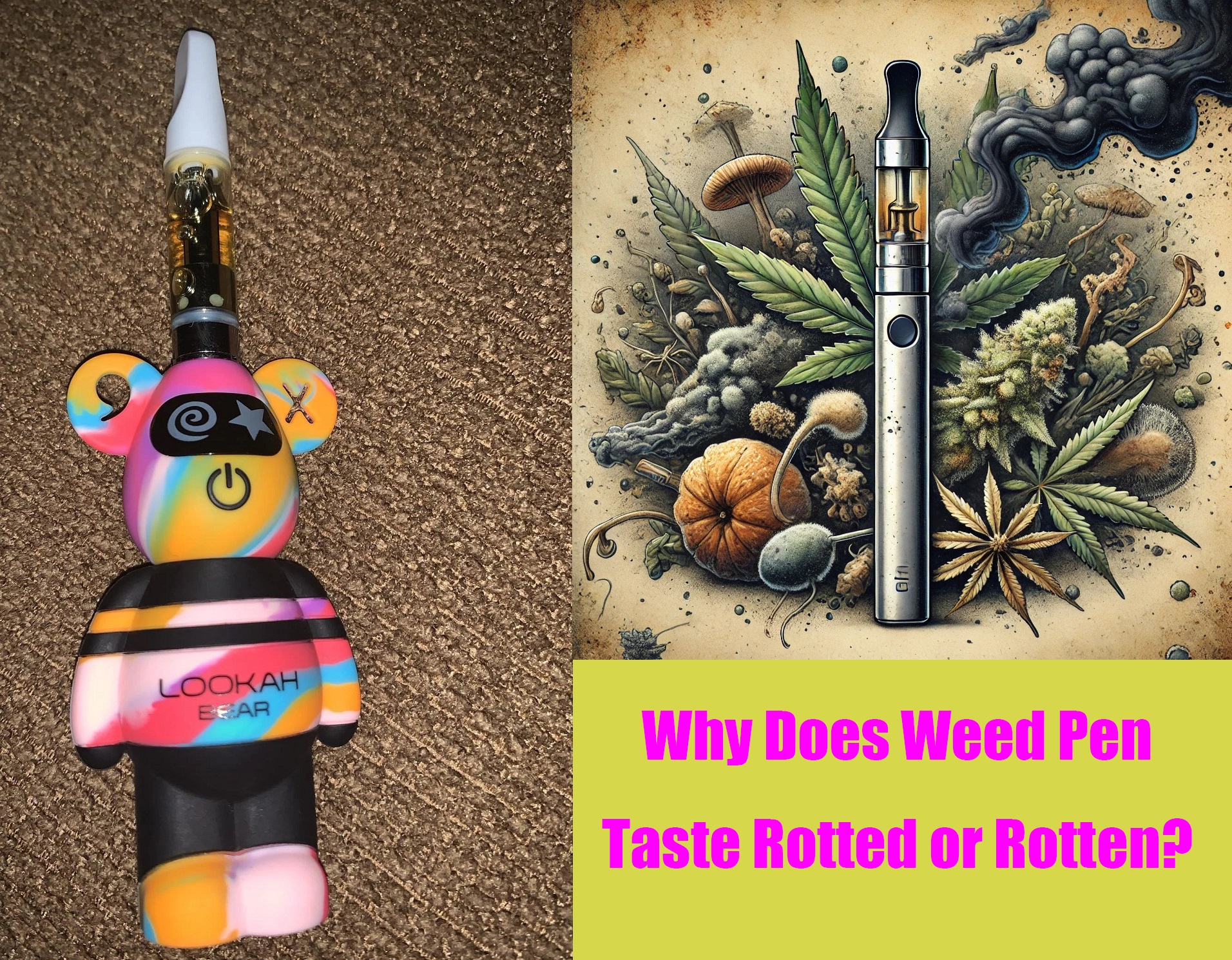 Do Weed Vapes Smell Why cannabis smells like skunk and how that could soon change Do Weed Vapes Smell Why cannabis smells like skunk and how that could soon change