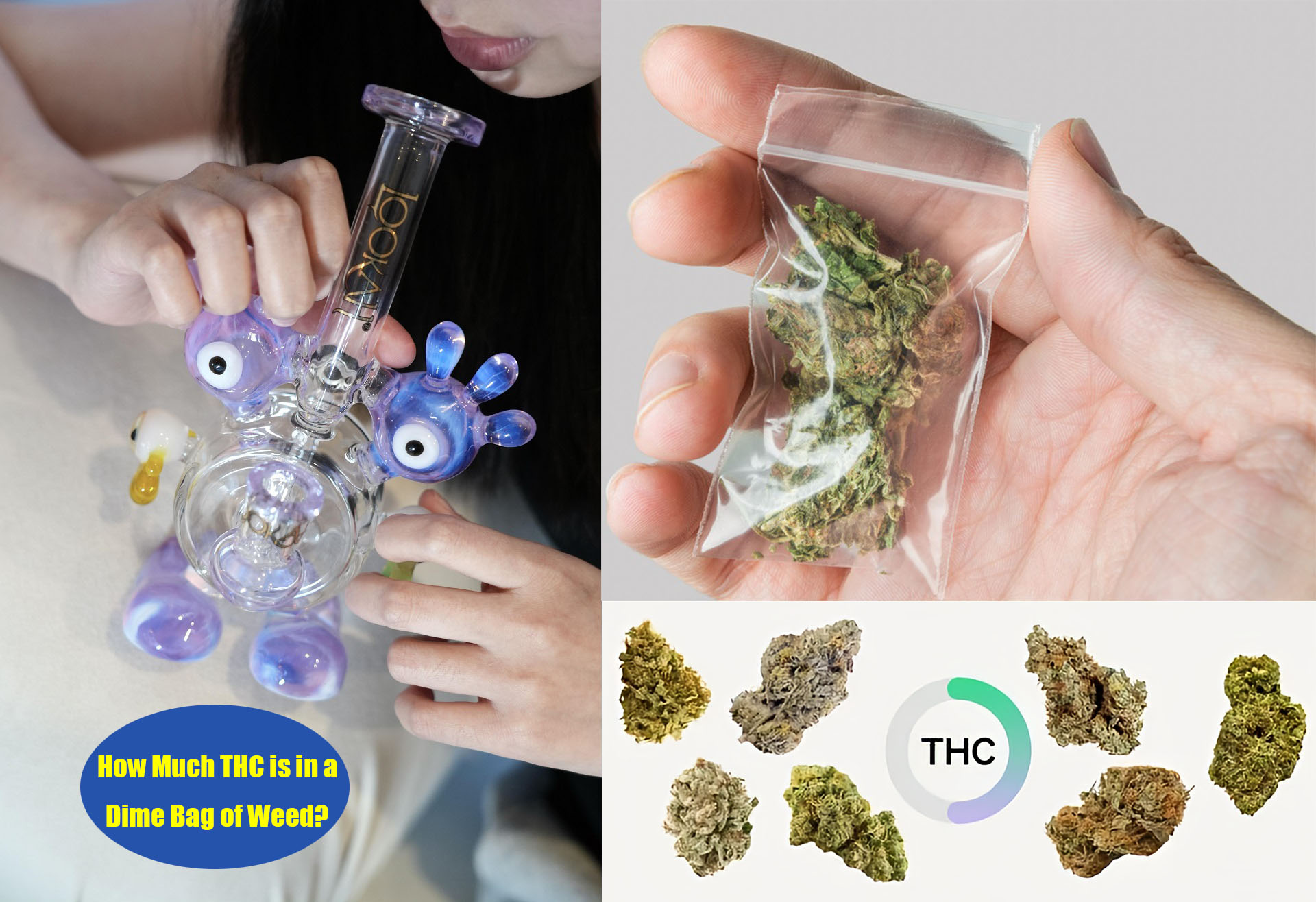 How Much THC is in a Dime Bag of Weed?