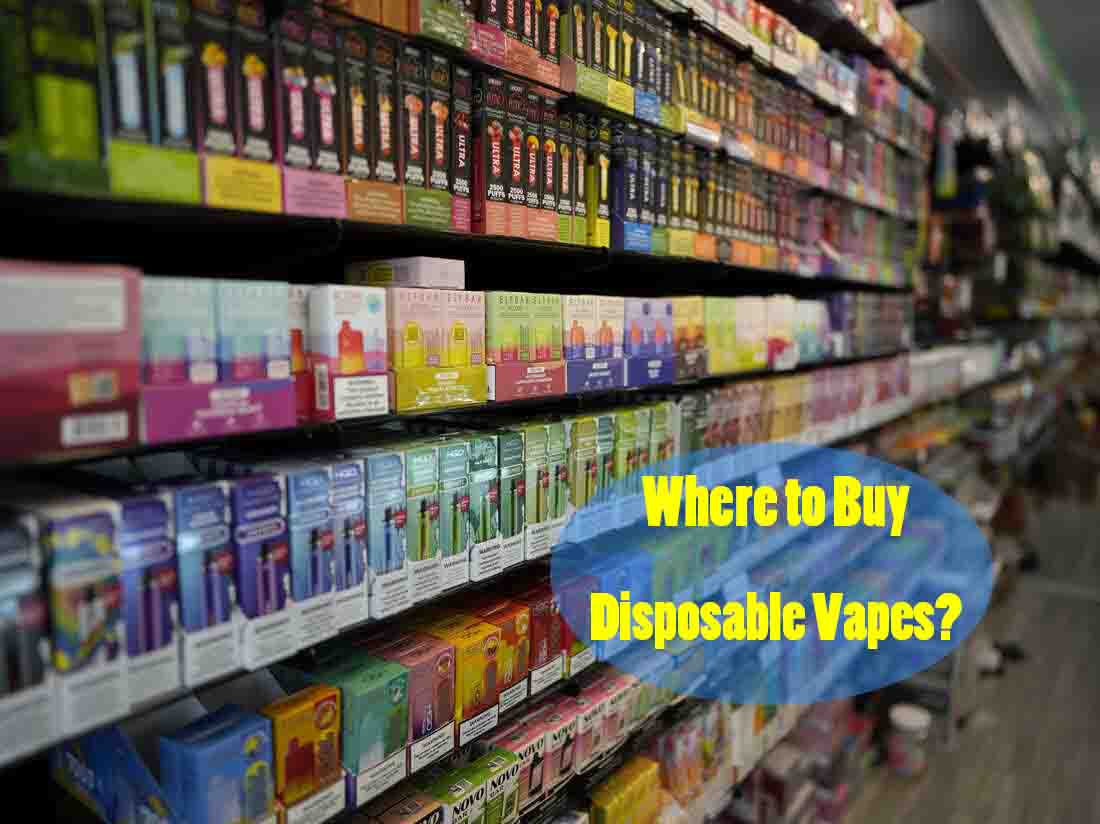 how much is elf bar vape Where to Buy Disposable Vapes? Online or Local Shop Near Me?