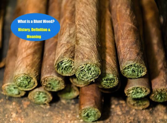 What is a Blunt (Weed)? History, Definition & Meaning | LOOKAH