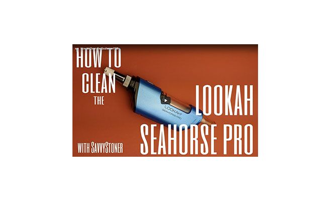 How to Clean the Seahorse PRO | Lookah